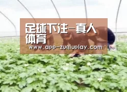 种植基地三