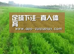 种植基地四