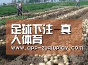 种植基地七(图1)