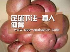 产品展示标题1
