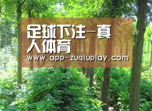 种植基地九