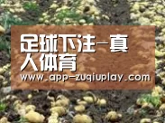种植基地八(图1)