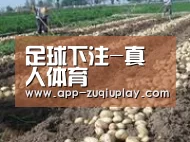 种植基地八