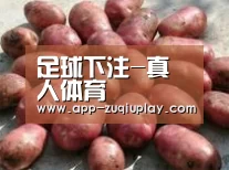 产品展示标题5