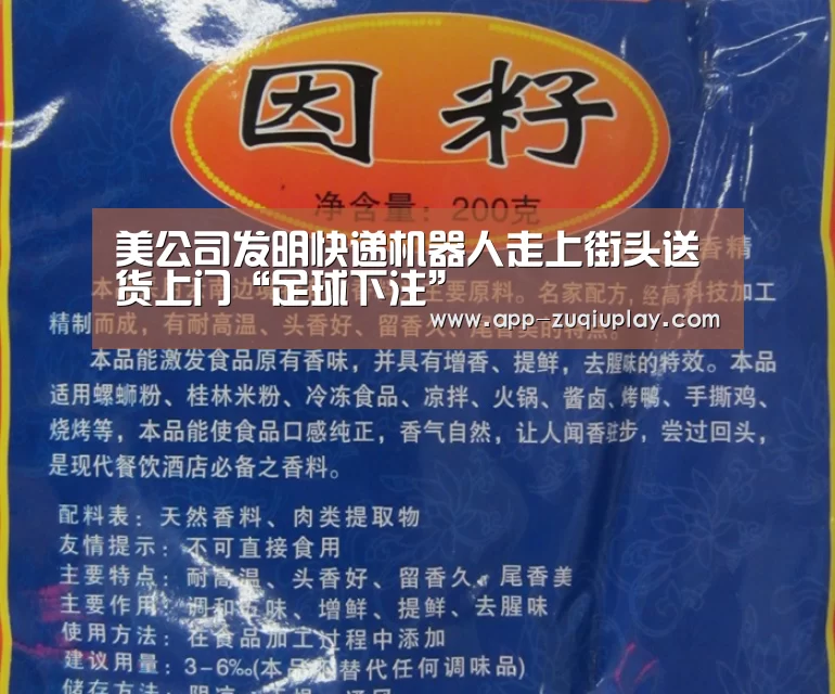 美公司发明快递机器人走上街头送货上门“足球下注”(图1) 足球下注平台