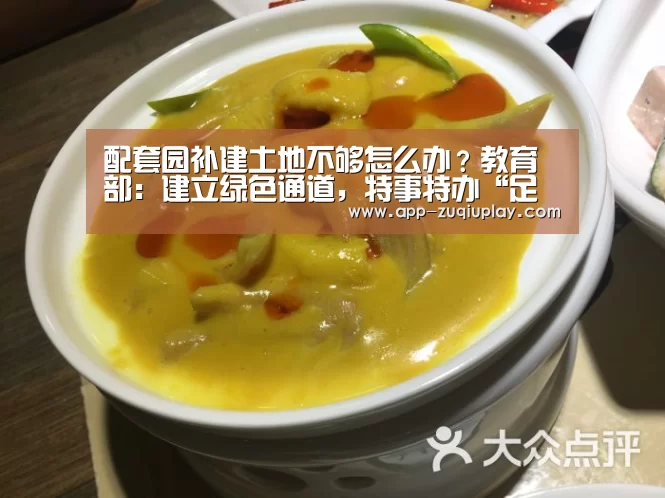 配套园补建土地不够怎么办?教育部:建立绿色通道,特事特办“足球下注”(图3) 足球下注